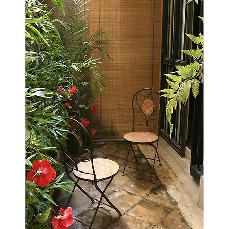 Basilio 55 Roma